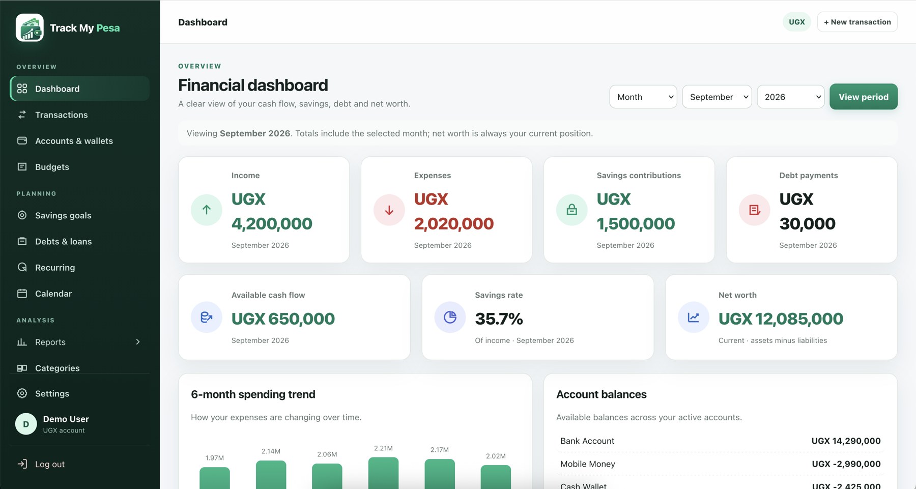 Track My Pesa financial dashboard